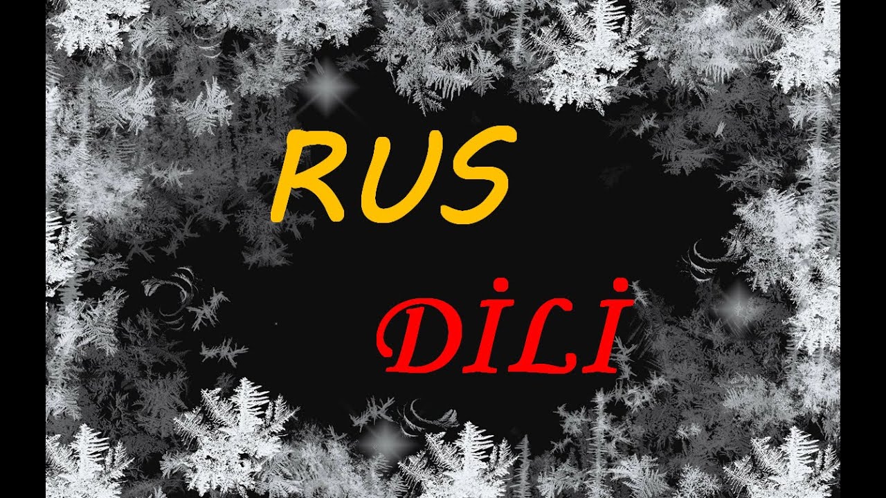 Rus dili 11 təzə sözlər