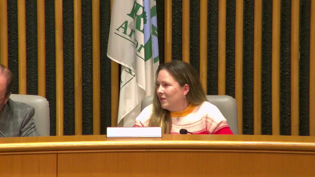 City Council Meeting 11/17/2025