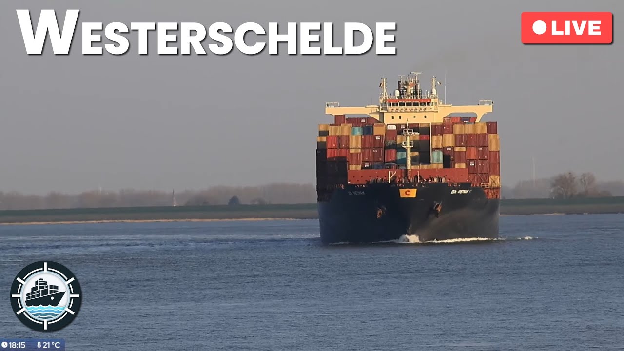 LIVE: 🚢 Ship spotting at the Westerschelde, NL | April 4, 2025