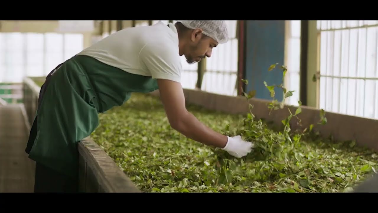 Ceylon Tea : Film 5 : Unchanged Magic