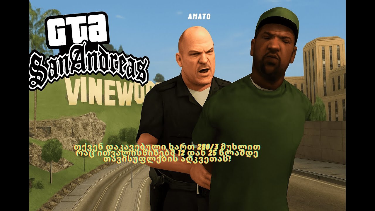 პოლიციაშიც შევისეირნეთ როგორც იქნა?!