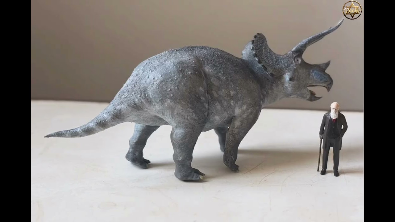 Triceratops prorsus!!! O tanque blindado herbívoro que batia de frente com o T-Rex!!!