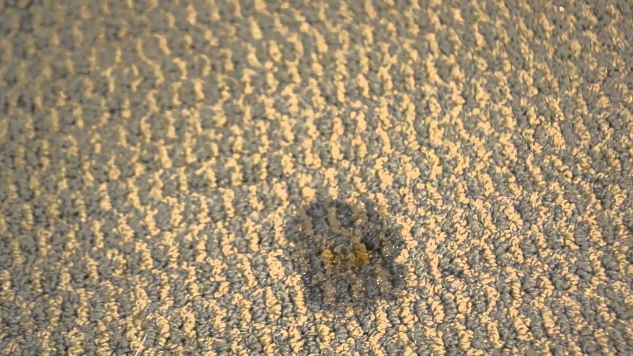 How to Remove Rust from Carpet
