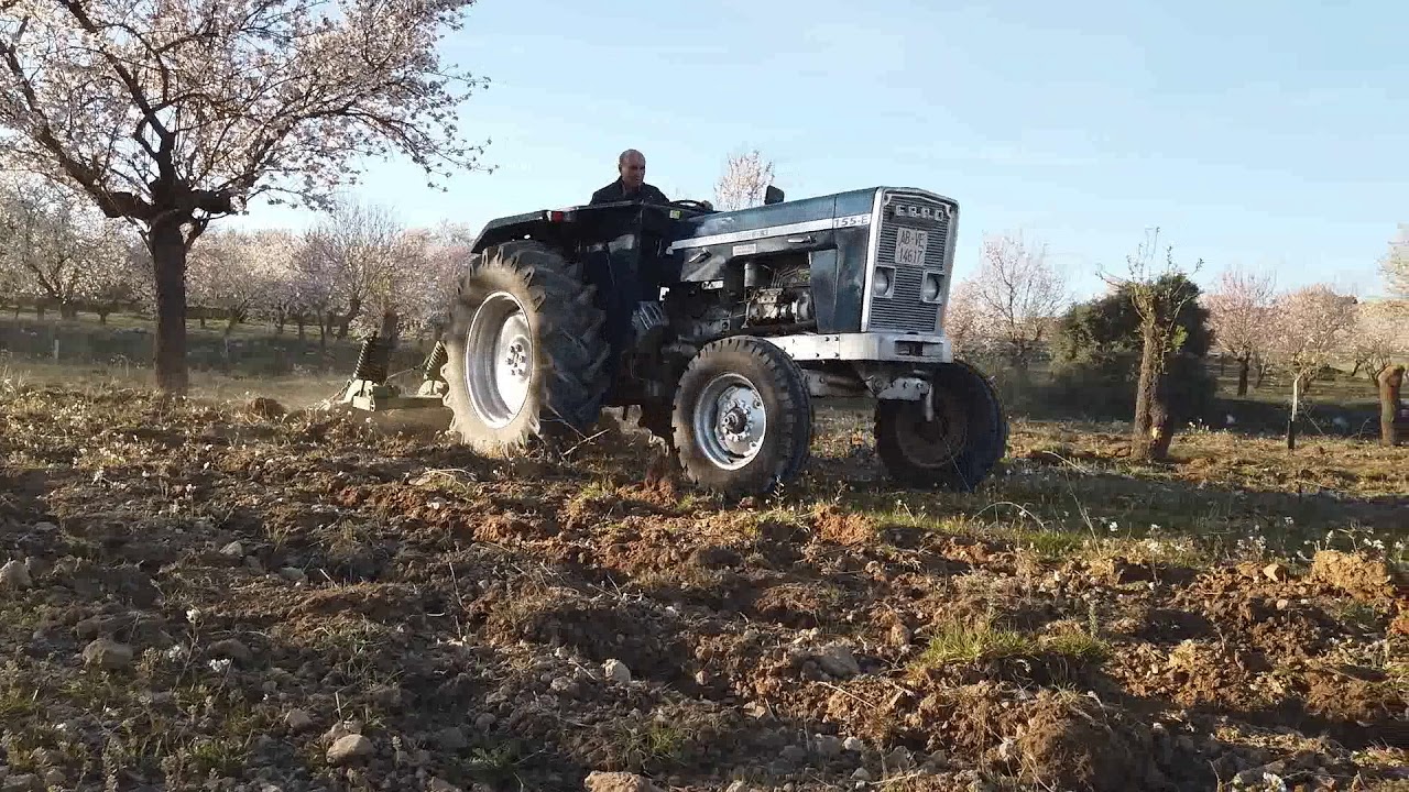 Ebro 155 E labrando almendros. Lezuza. Febrero 2020.