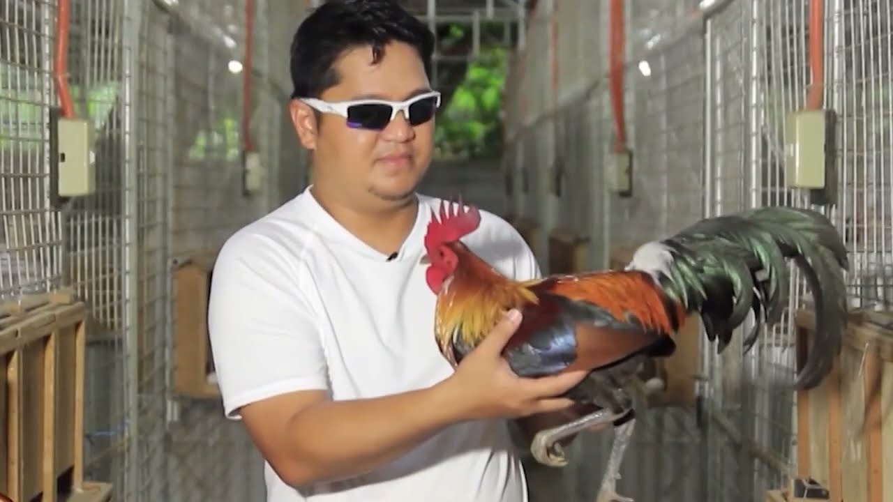 Alamin ang Breeding system ni Sir Doyet Lapido