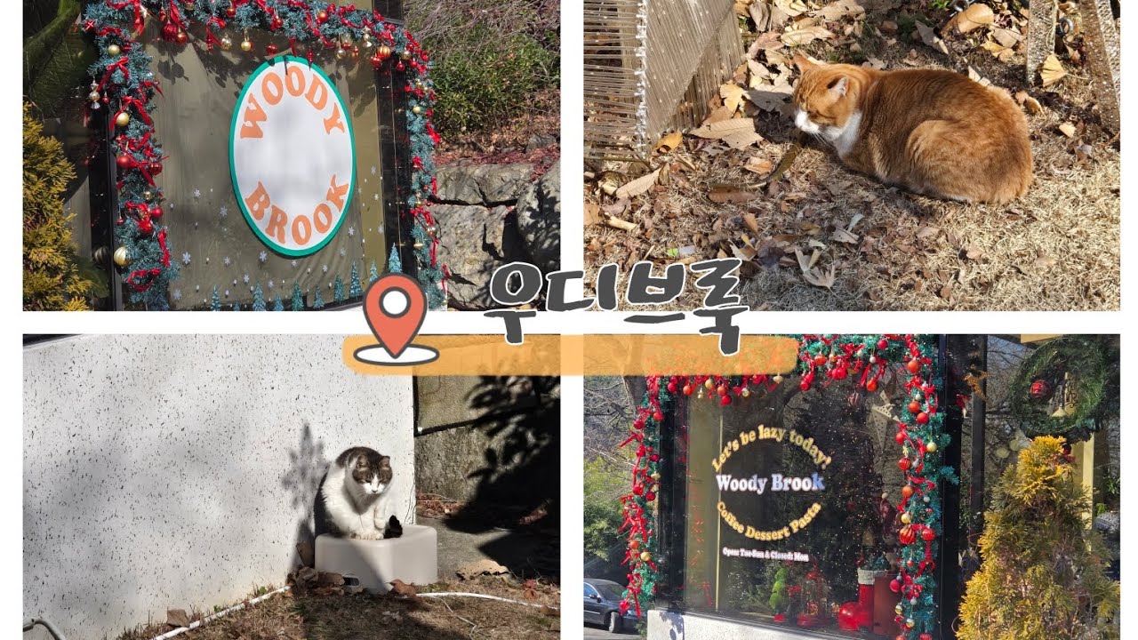 흑백고양이 우디브룩 🐱 사상감성카페 부산감성카페 🐈🐈‍⬛ 쫀득쿠키 쿠키맛집 베이커리카페 