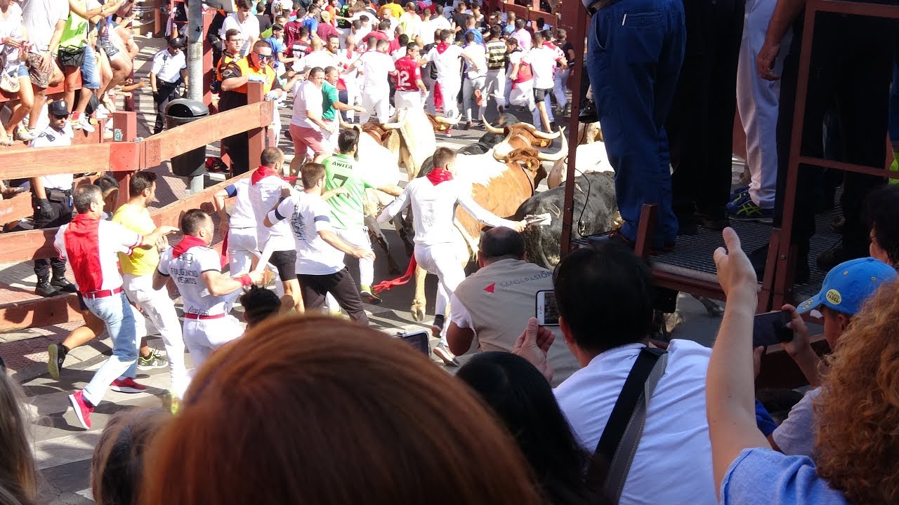 6º Encierro Fiestas de Sanse,Madrid(España) 01/09/2019