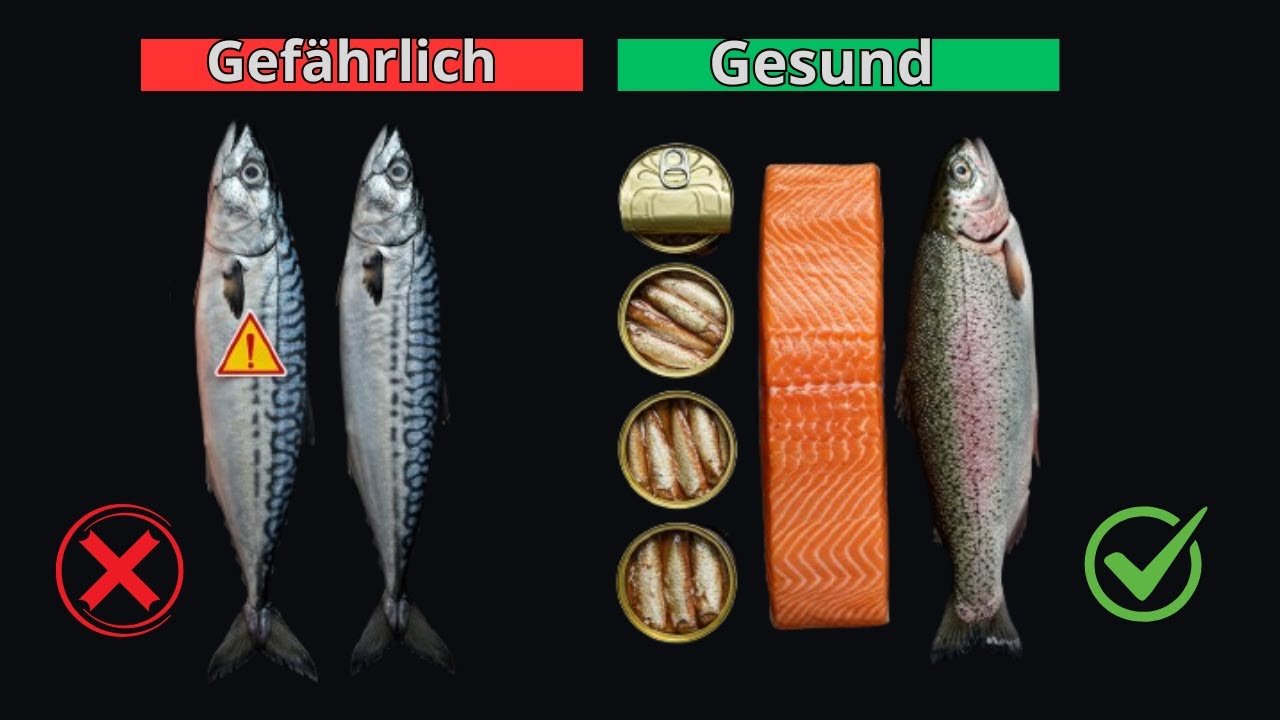5 gesunde Fischsorten, die du essen solltest &ndash; und 5, die du lieber meiden solltest