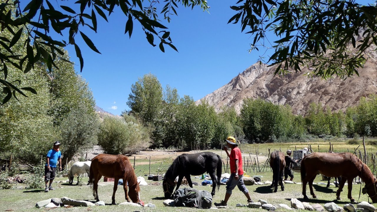 Markha Valley Trek: Sara to Markha