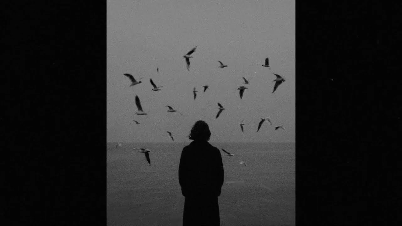 (free) indie pop type beat - 