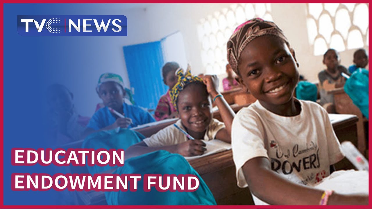 North East Commission Sets Aside N6bn Education Endowment Fund