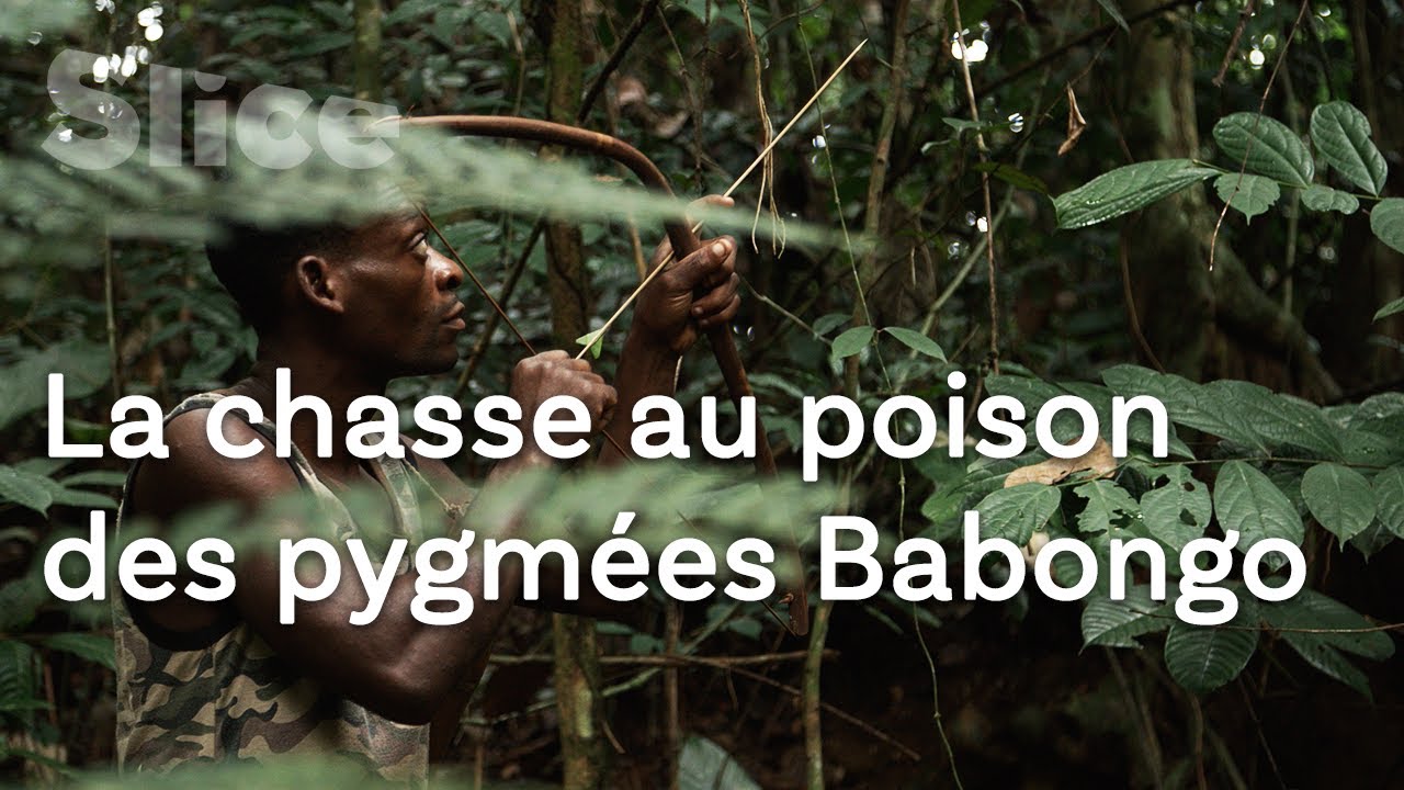 Le DERNIER REFUGE des pygmées Babongo | SLICE