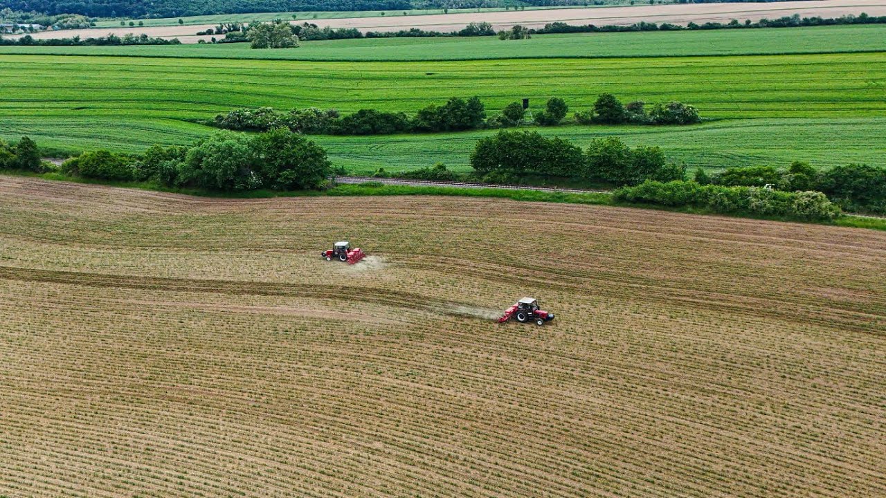 Zetor 7011 & 7211 l plečkovanie kukurice l PD Kozárovce
