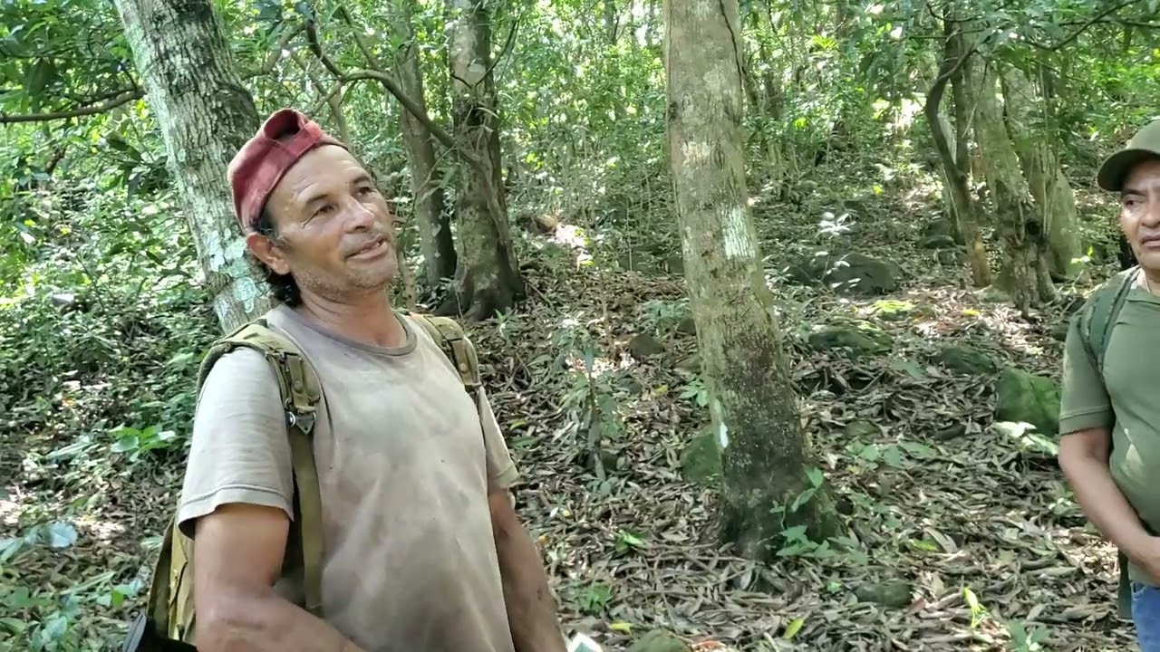 Historia de Guerrillero cariñosamente conocido como el piedra