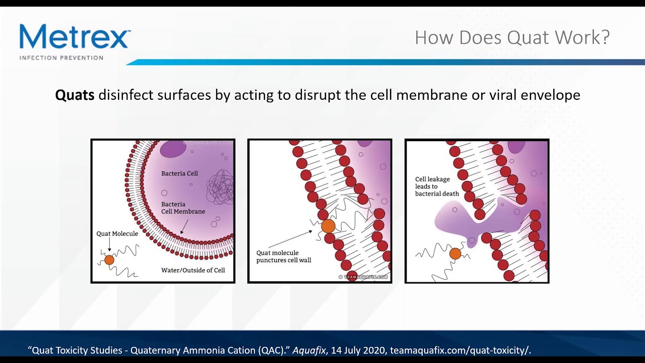 Quat vs High Alcohol in Surface Disinfectants