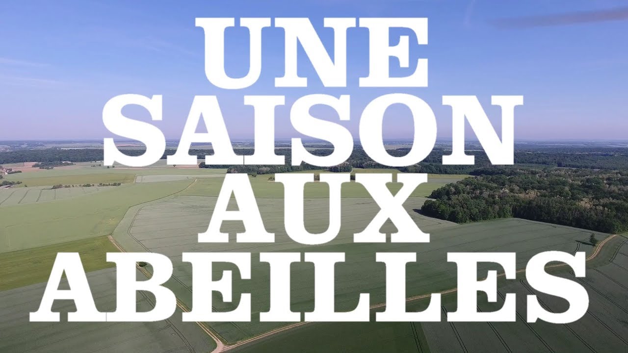 UNE SAISON AUX ABEILLES - E16 - 