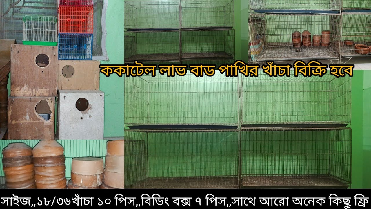 ১৮/৩৬/১০,পিস,ককাটেল লাভ বাট পাখির খাঁচা, বিক্রি হবে, সাথে অনেক কিছু ফ্রি, 01815465954