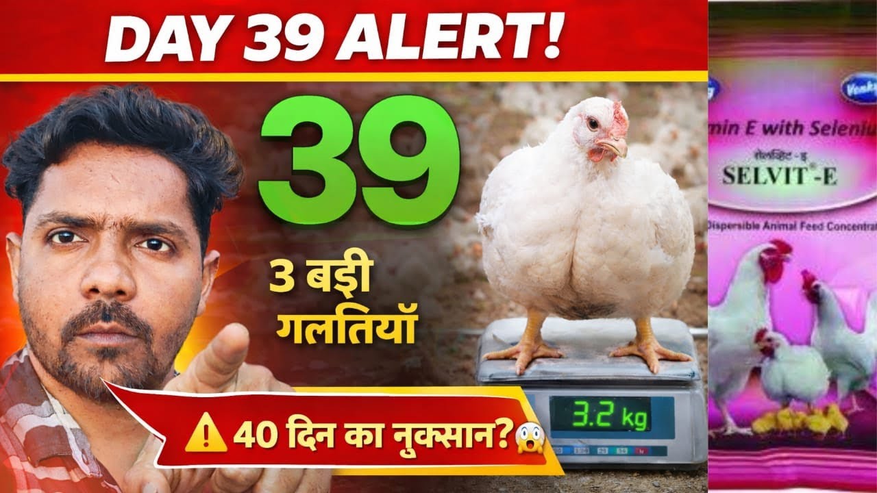 Day 39 पर ये 3 काम नहीं किए तो भारी नुकसान!”