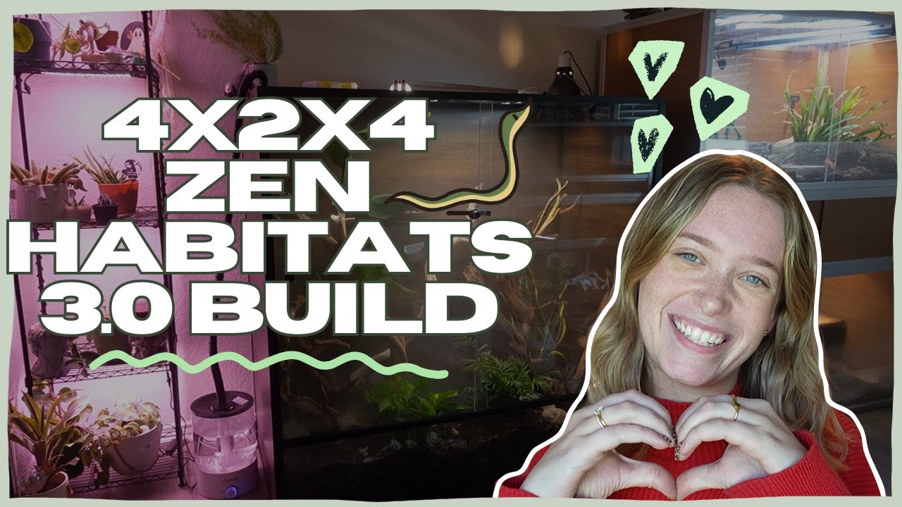 НОВЫЙ КОРПУС ZEN HABITATS 3.0 4x2x4! (Это лучший корпус, который они сделали?)