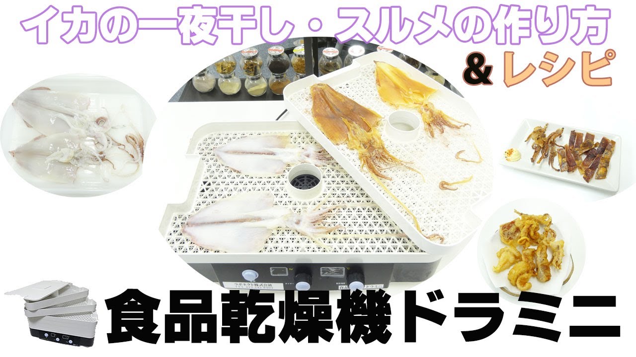 [イカを干物に] スルメ＆一夜干しの作り方とレシピ（食品乾燥機ドラミニ）