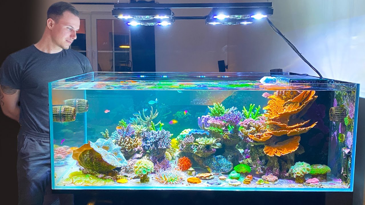 GERMAN REEF TANKS - 