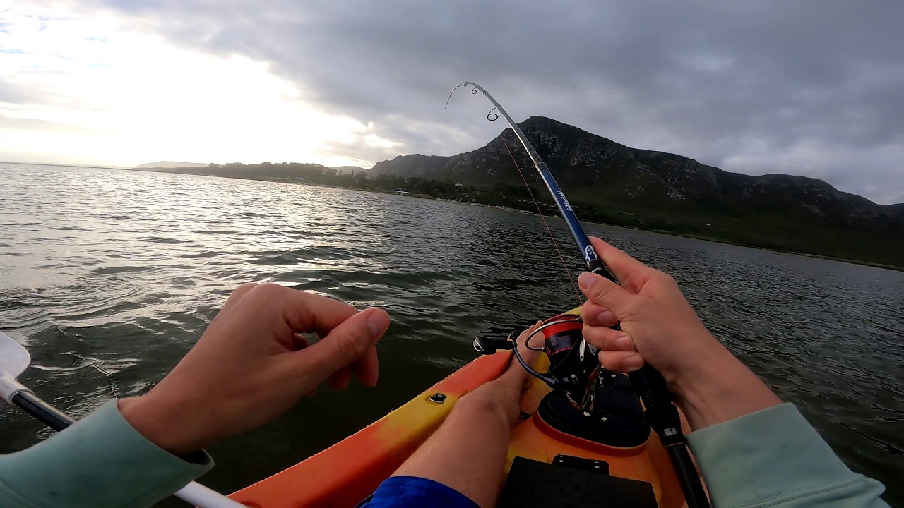 Allein in Südafrika 🇿🇦 klappt das?