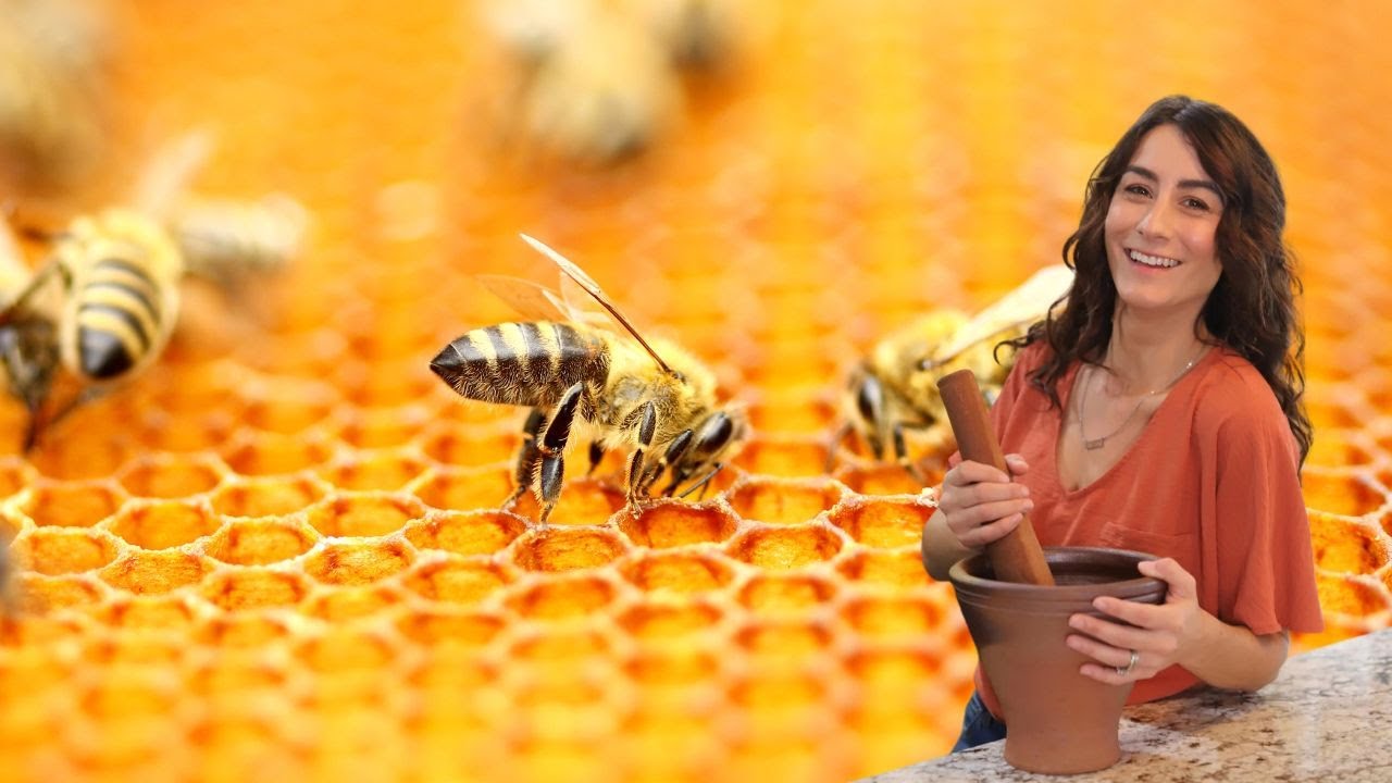 When to Start Beekeeping