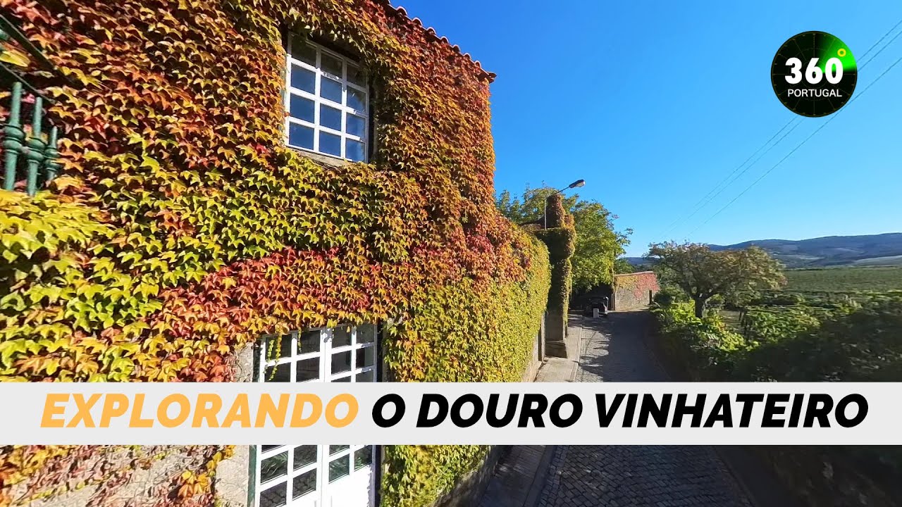 Explorando o Douro Vinhateiro | Sabrosa | PORTUGAL