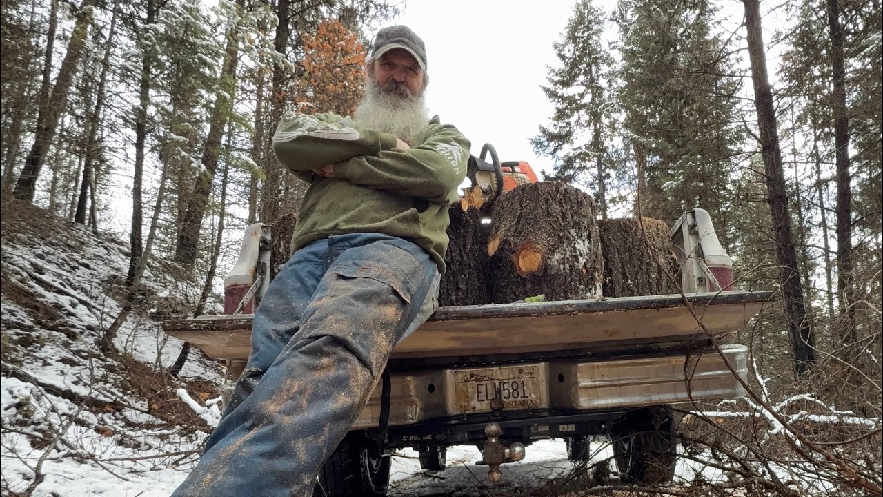 Как дела в моих краях! #offgrid #offgridlife