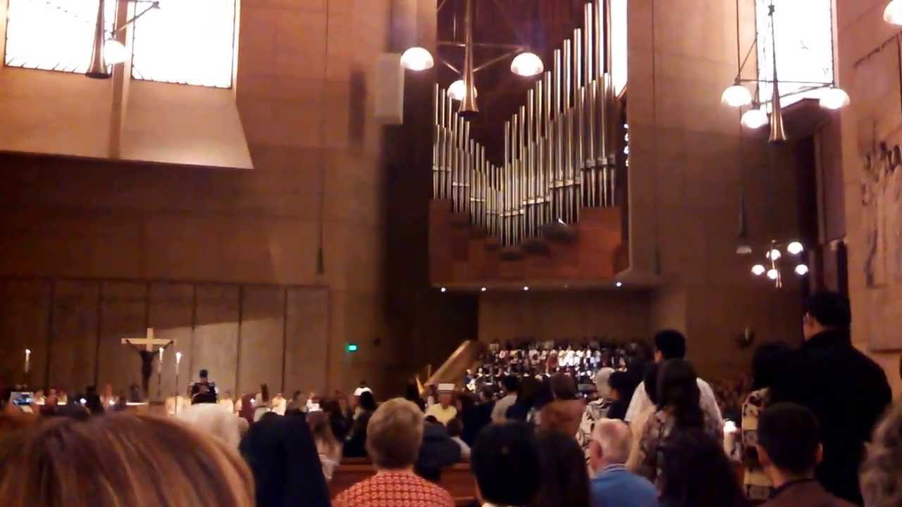 2014 Shantigarh Requiem for the Unborn
