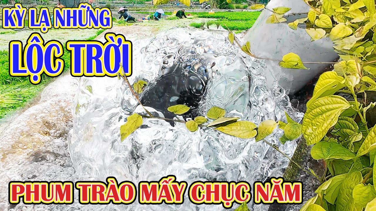 ĐỘC ĐÁO NHỮNG LỘC TRỜI Phum Trào Miệt Mài MẤY CHỤC NĂM Ở Gia Kiệm | Đồng Nai.