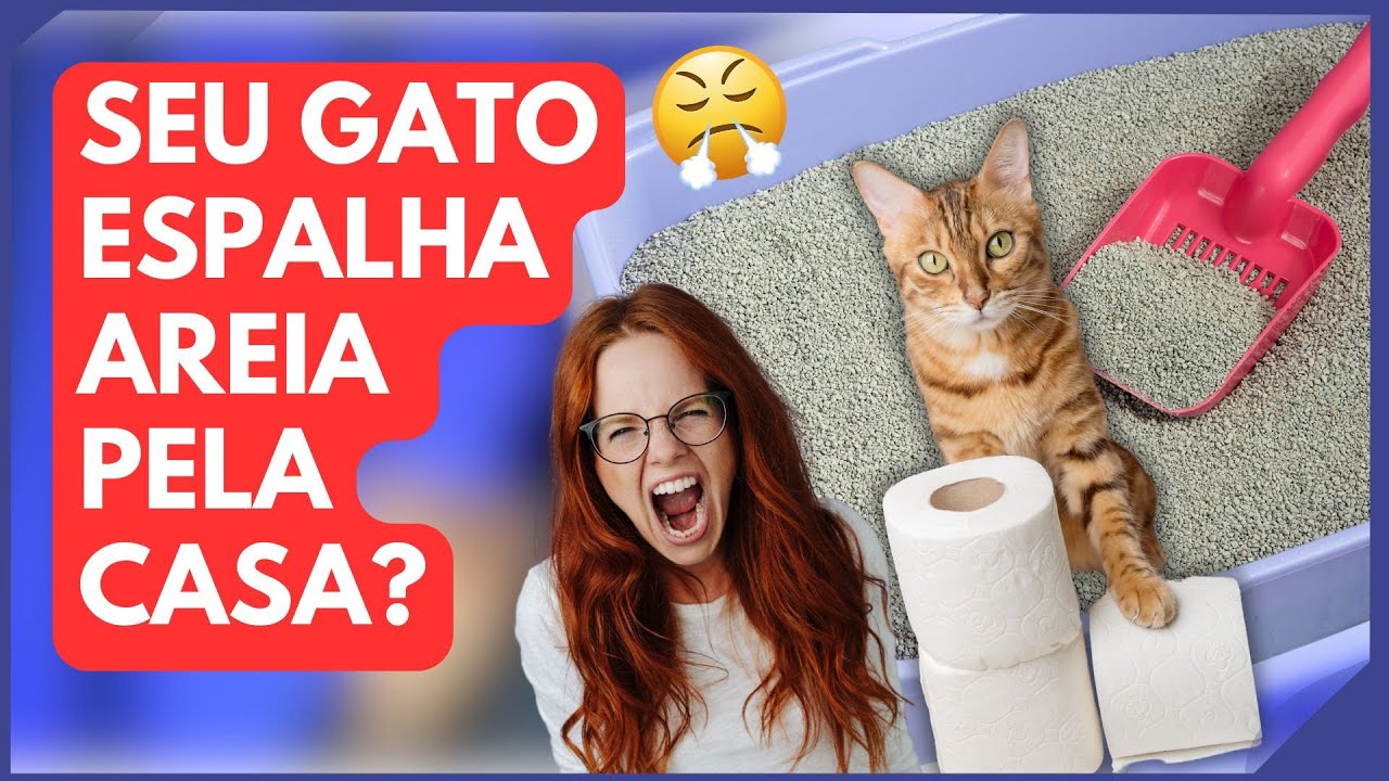 ACABE com A AREIA de GATO ESPALHADA pela CASA | SAIBA TUFO - DICAS F&Aacute;CEIS