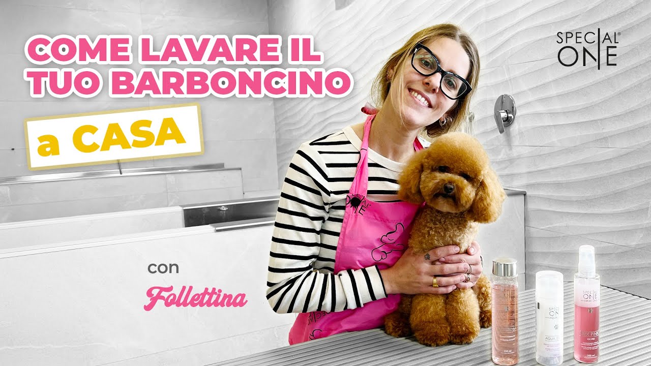 Come lavare il tuo Barboncino a casa: Guida Step-by-Step con SpecialOne Cosmetics