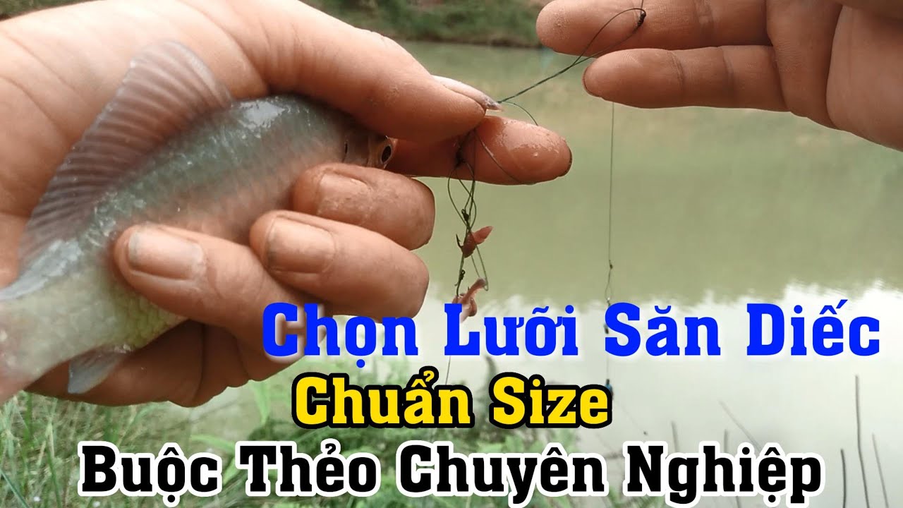 Cách Chọn Lưỡi Buộc Thẻo Câu Cá Diếc Chuẩn Nhất | Câu Cá Diếc #cauca