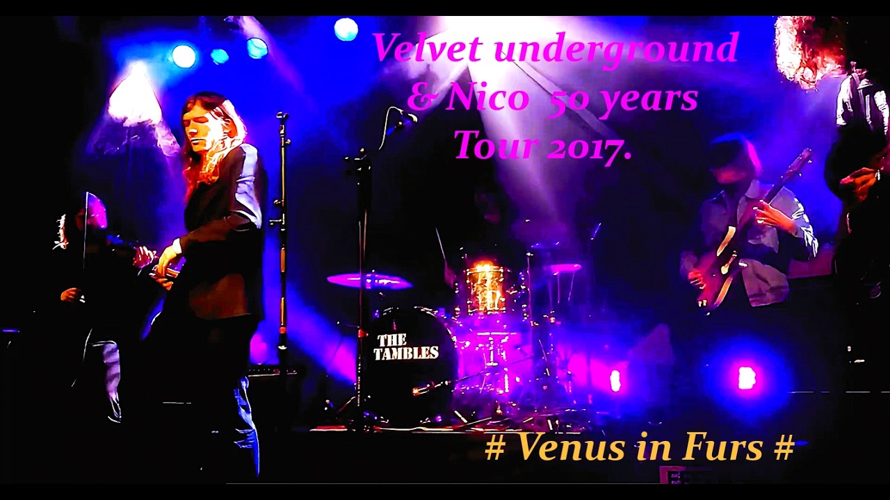 VELVET UNDERGROUND 's ~ * Venus in Furs * ( 1967 ) performed live by Jerry Hormone & The Tambles .