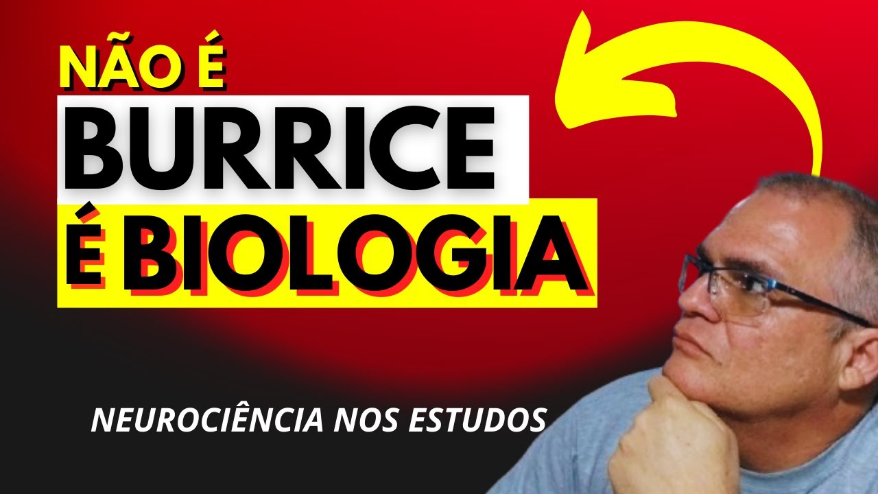 Você não é BURRO, seu cérebro só tem pouca memória RAM.