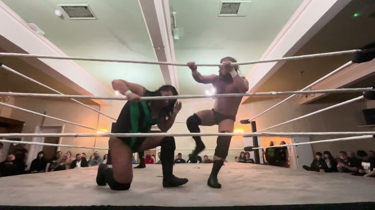 Tom Thelwell vs Lewis Johnson vs Dan Evans vs Lucy Sky
