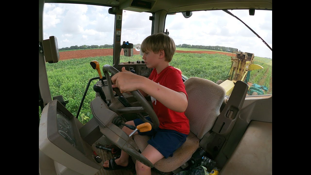 Southern pea harvest has begun!