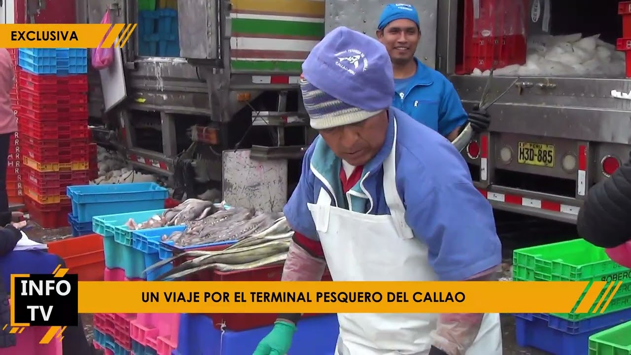UN VIAJE POR EL TERMINAL PEQUERO DEL CALLAO - INFO TV
