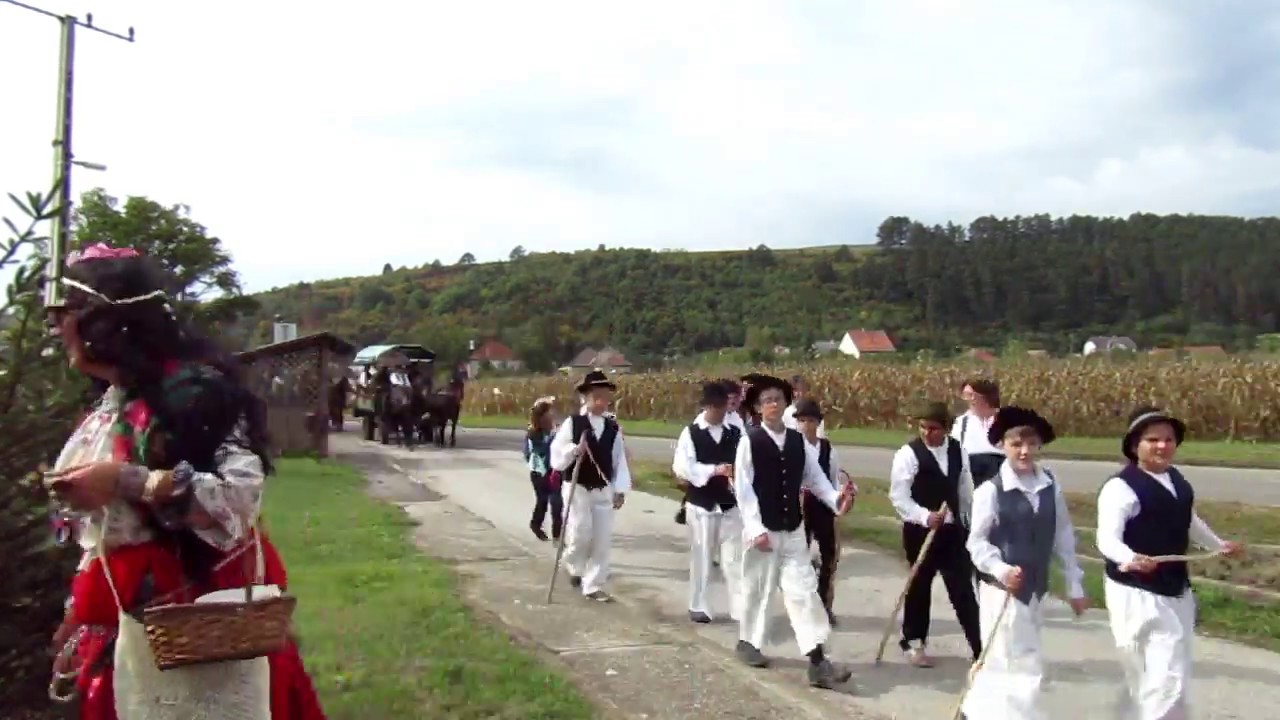 Tolcsvai sz&uuml;reti felvonul&aacute;s 2019 szeptember