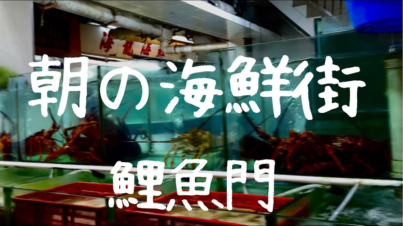 181話　朝の海鮮街、鯉景門（今週のどローカルニュースはお休みしますm(_ _)m）