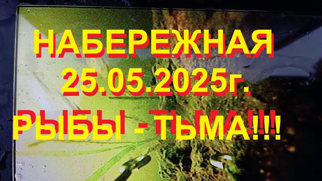 Набережная 25.05.2025 - рыбы тьма!!!