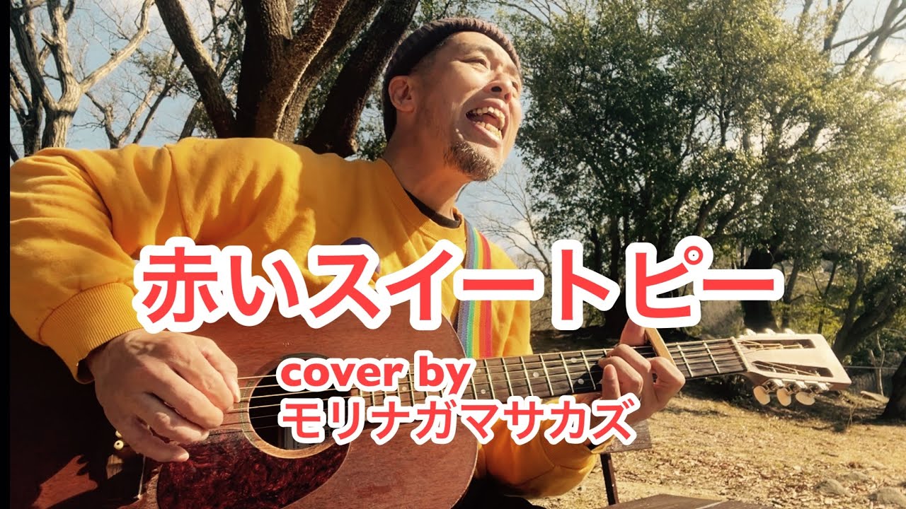 赤いスイートピー(松田聖子) / 弾き語りカバー / モリナガマサカズ