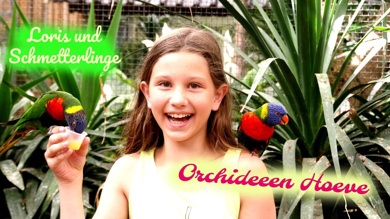 Vlog im Orchideeen Hoeve