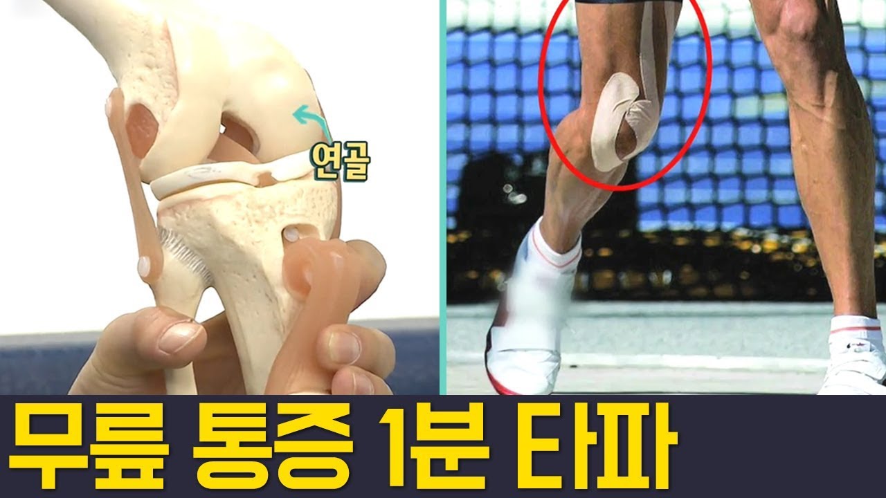 [Balance Of Life] 무릎 통증, 1분만에 해결하자!  l 닥터지바고