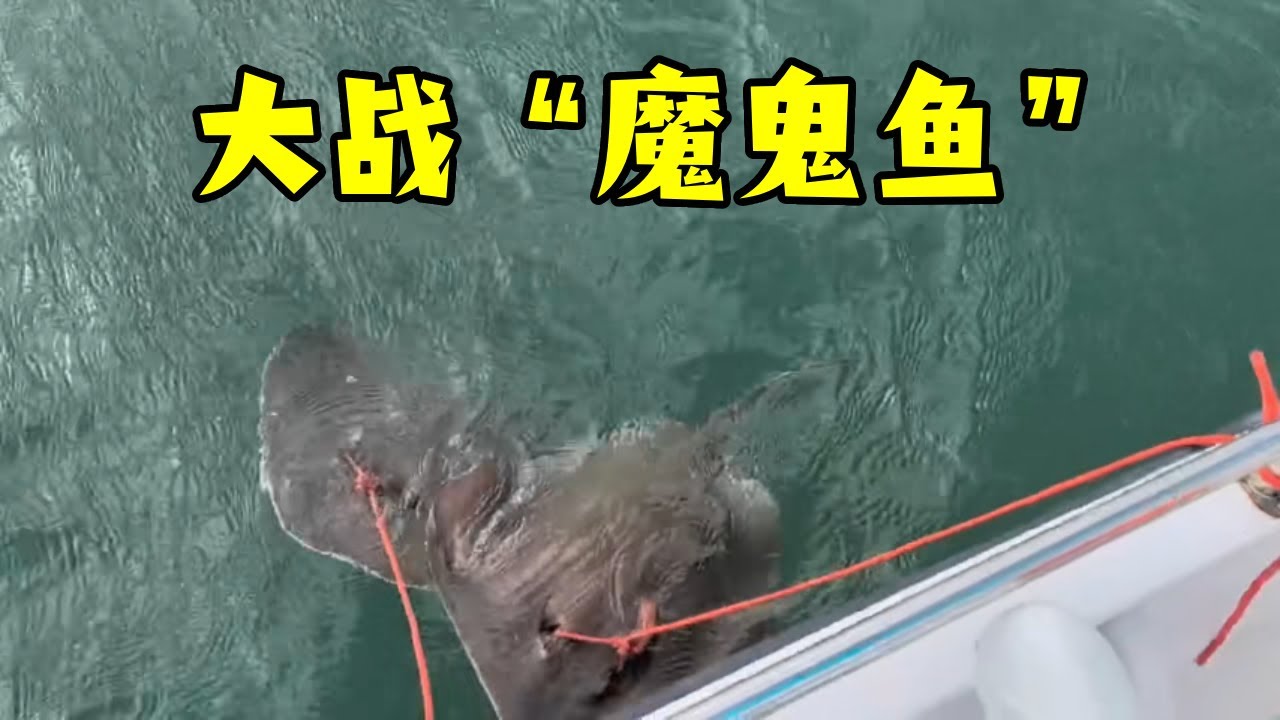 前方来报，被“魔鬼鱼“虐到怕，阿锋收拾重型装备随时出发#海钓 #魔鬼鱼 #鸣潮  #巨物 #原来钓鱼才是抖音运动顶流