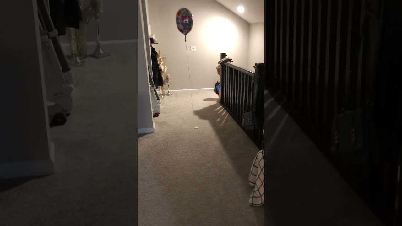 Da balloon snatcher in its natural habitat