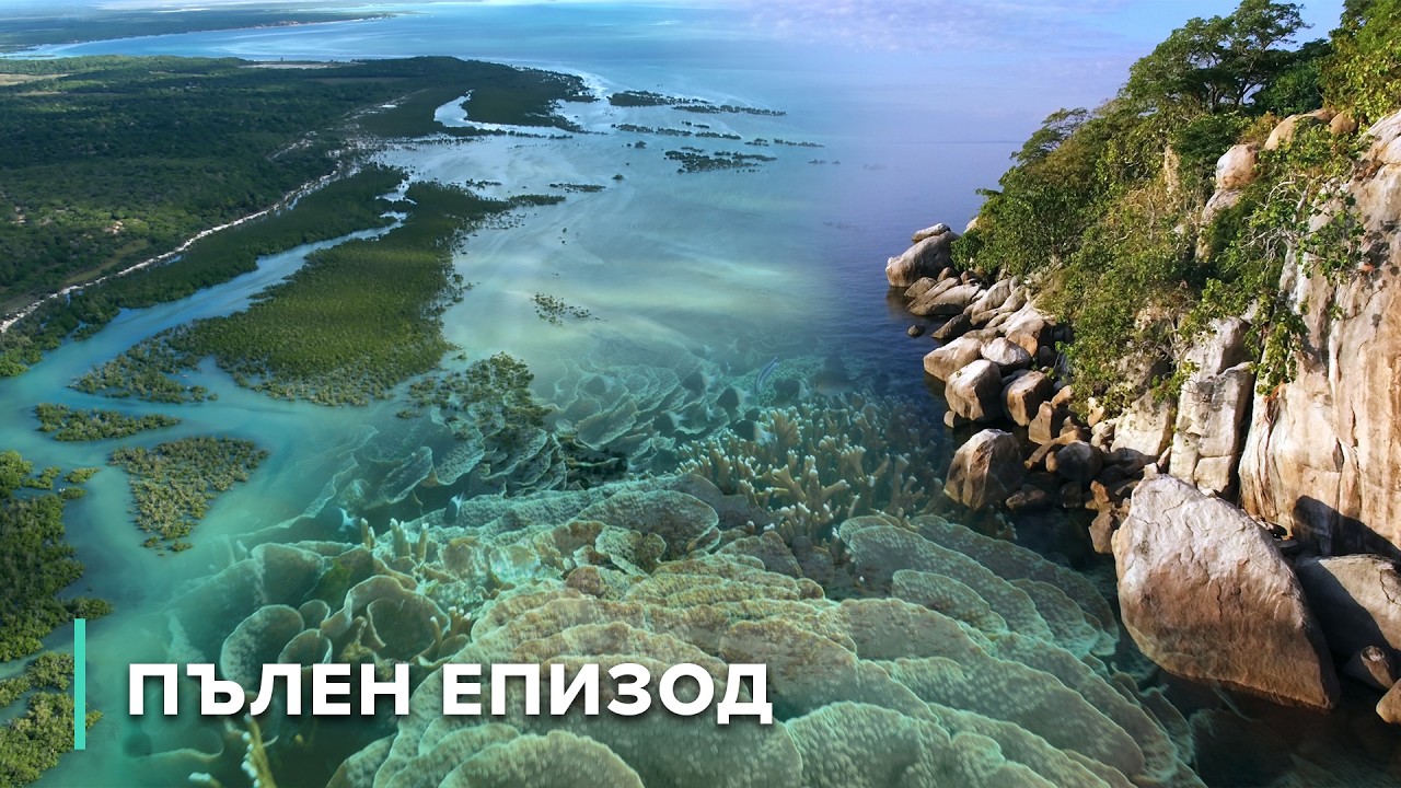 Подводно пътешествие до Мафия, Малави и Базаруто | Подводните чудеса на Африка 103+104+105
