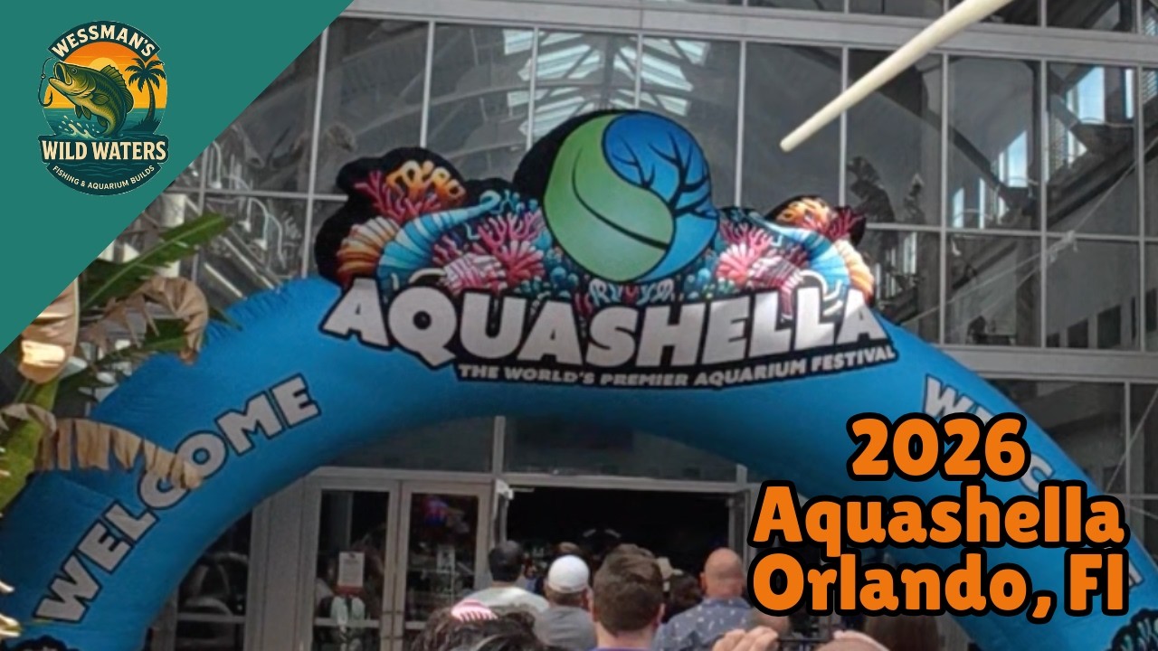Getting a River Monster at Aquashella