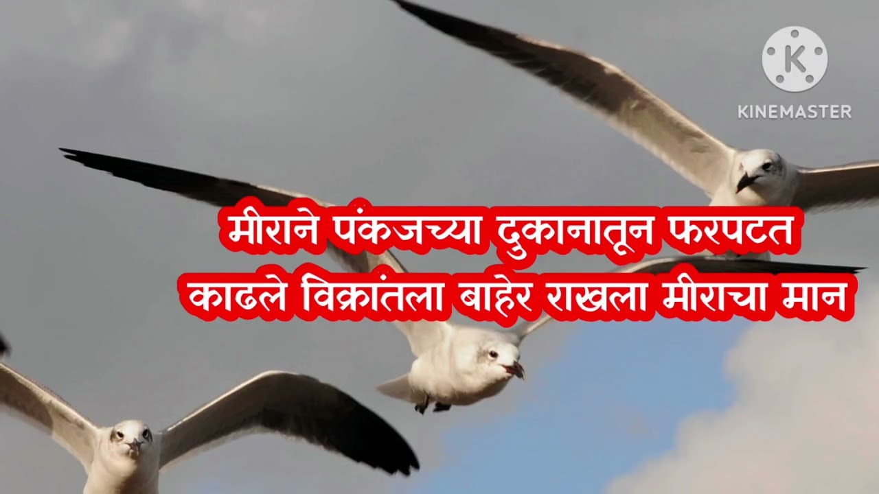 पंकजच्या दुकानातून रियाने काढले विक्रांतला फरपटत बाहेर|sadhi mansa today episode 